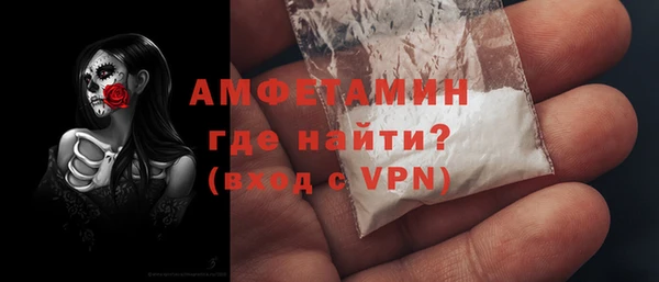 спиды Вяземский