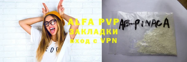 спиды Вяземский