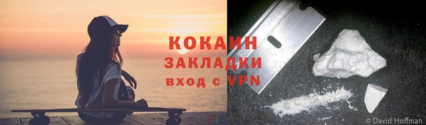 спиды Вяземский