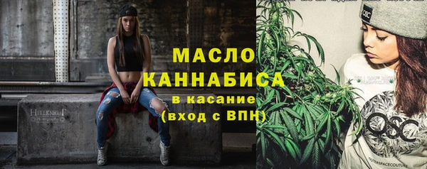 спиды Вяземский
