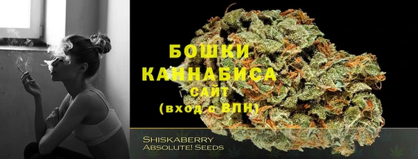 спиды Вяземский