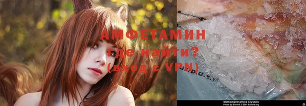 спиды Вяземский