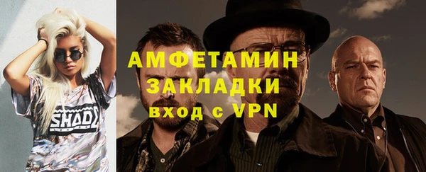 спиды Вяземский