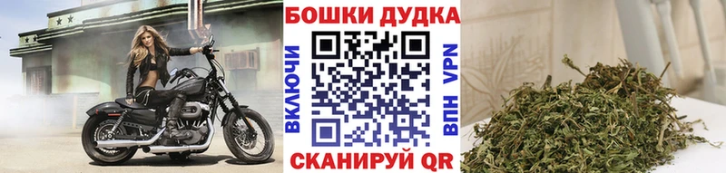 Конопля ГИДРОПОН где можно купить наркотик Пласт